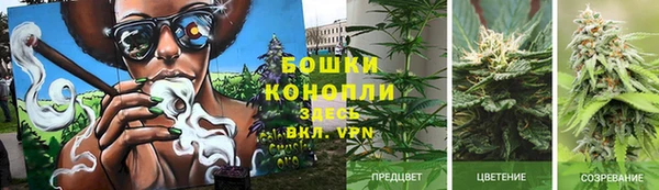 хмурый Верхний Тагил